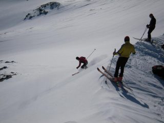 Loris sui pendii al di la del colle