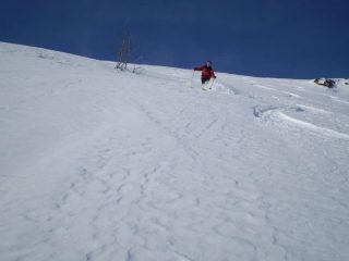 Inizia la pacchia...