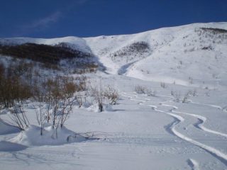 Curvette in farina 00