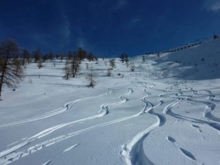 Tutta farina!