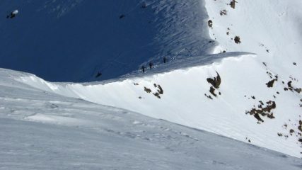 Amici in arrivo....