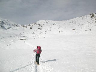 Quasi all' Alpe di Grifone