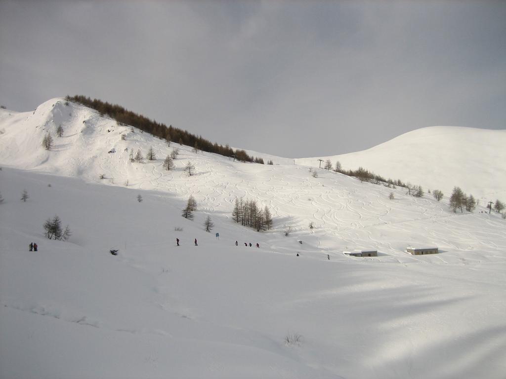 fuori dal bosco verso le sorgenti del Tanarello.