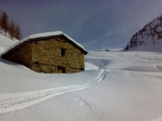 g. oliveto da dove siamo scesi