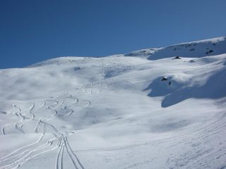 tracce di discesa lasciate dai sei evergreen