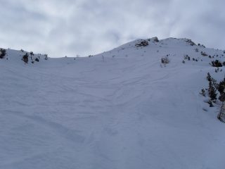 firme e tracce sotto la piatta Grevon