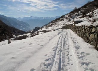 Arrivo a Graines