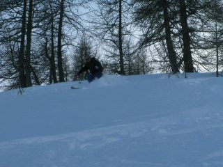 Farina nel bosco