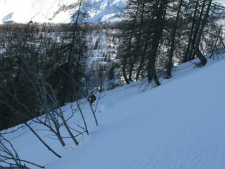 Pendii vergini