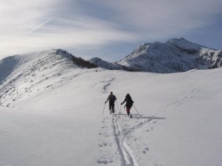 Quasi in vetta