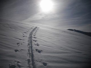 la traccia