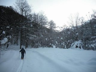 in basso