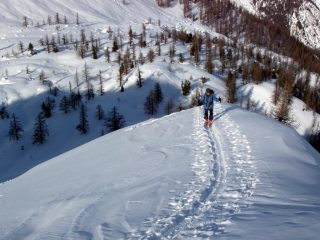 Dorsale finale