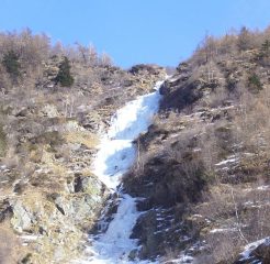 Foto 23.02.2008 h 15.00
