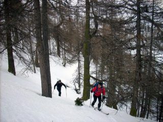 in salita nel bosco