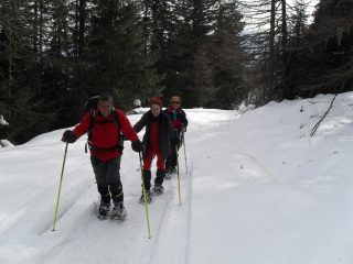 i miei amici nel bosco