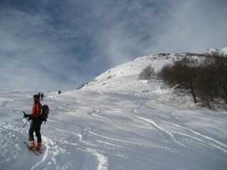 dorsale