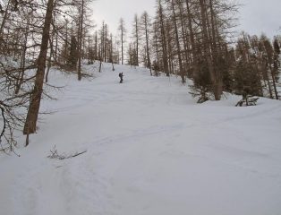 I boschi sopra la grangia