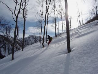 Slalom tra i faggi