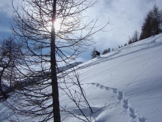Farina superfavolosa