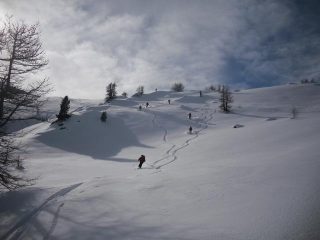 da qui solo tanta farina