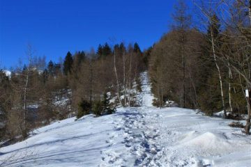 Sul crinale poco dopo il colle di Caprauna