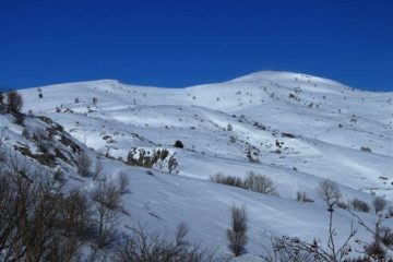I pendii dopo il bosco