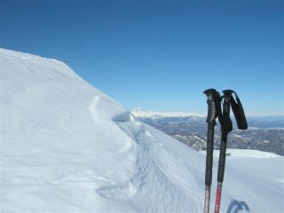 oggi niente foto di curve