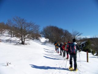 sull'altavia