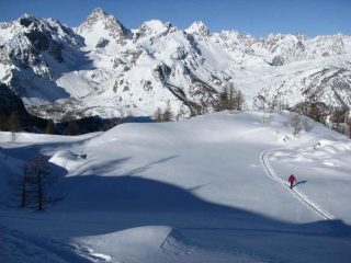 eccoci fuori dal bosco...