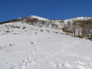 Discesa