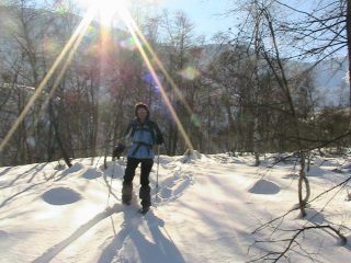 Nel bosco..