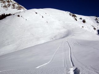 farina 3