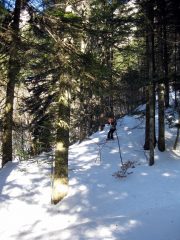 farina anche nel bosco