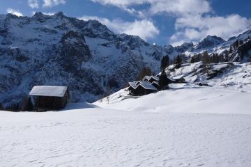 Dorf