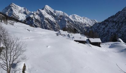 Scarpia