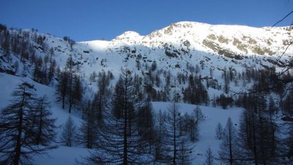 prime luci del sole sul Mont de Paracouerte (31-1-2010)