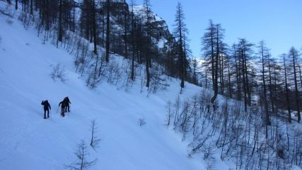 salendo nel bosco sopra il Refuge de Fontanalbe (31-1-2010)