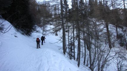 nella parte iniziale della stradina che sale nel Vallon de Fontanalbe (31-1-2010)