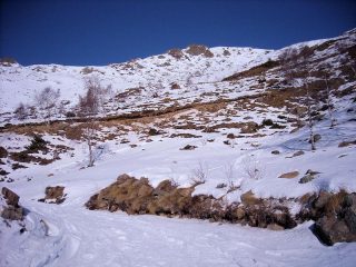 appena sopra al bosco