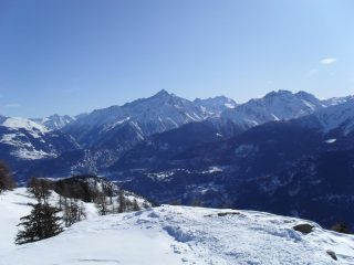 panorama sulla Grivola e G.Paradiso