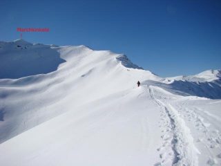 la dorsale finale