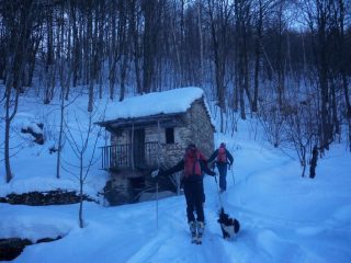 salendo verso la boschina