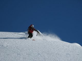 Farina
