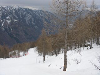 Fuori dal bosco lungo la pista da sci