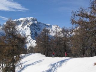 Arrivano gli evergreen!