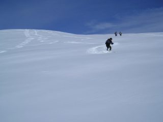 belle curve su farina 