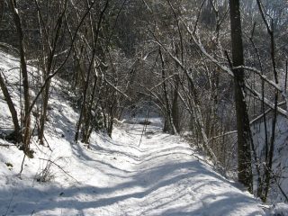 Neve sul percorso