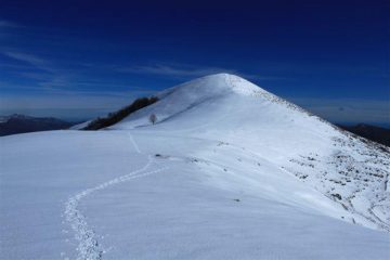 Il Guardiabella scendendo