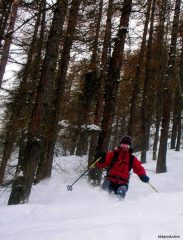 Nicolettaragazzamissile